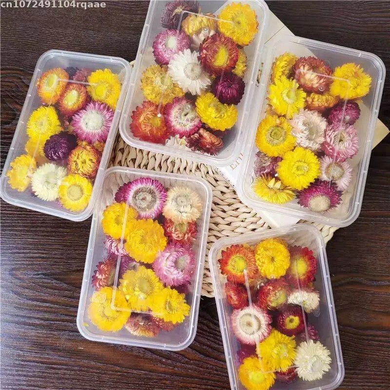 100% Natural Dried Flowers Bra – обзор и цена Candle Making Material Wholesale