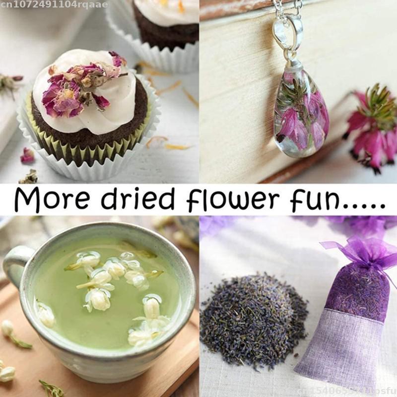 100% Natural Dried Flowers Bra – обзор и цена Candle Making Material Wholesale